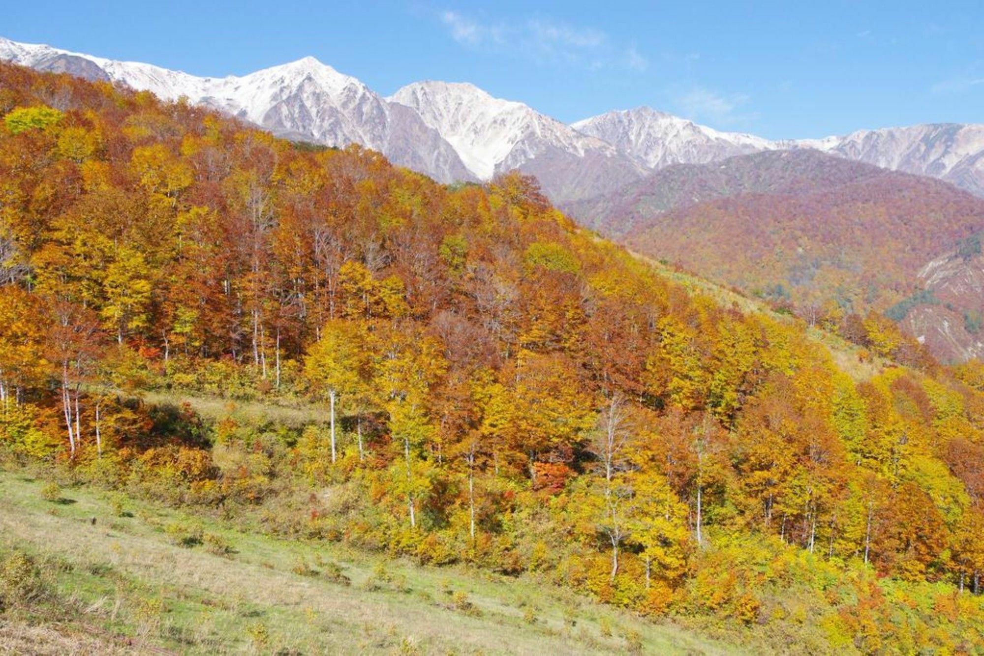 Hakuba Ski-Kan Kültér fotó